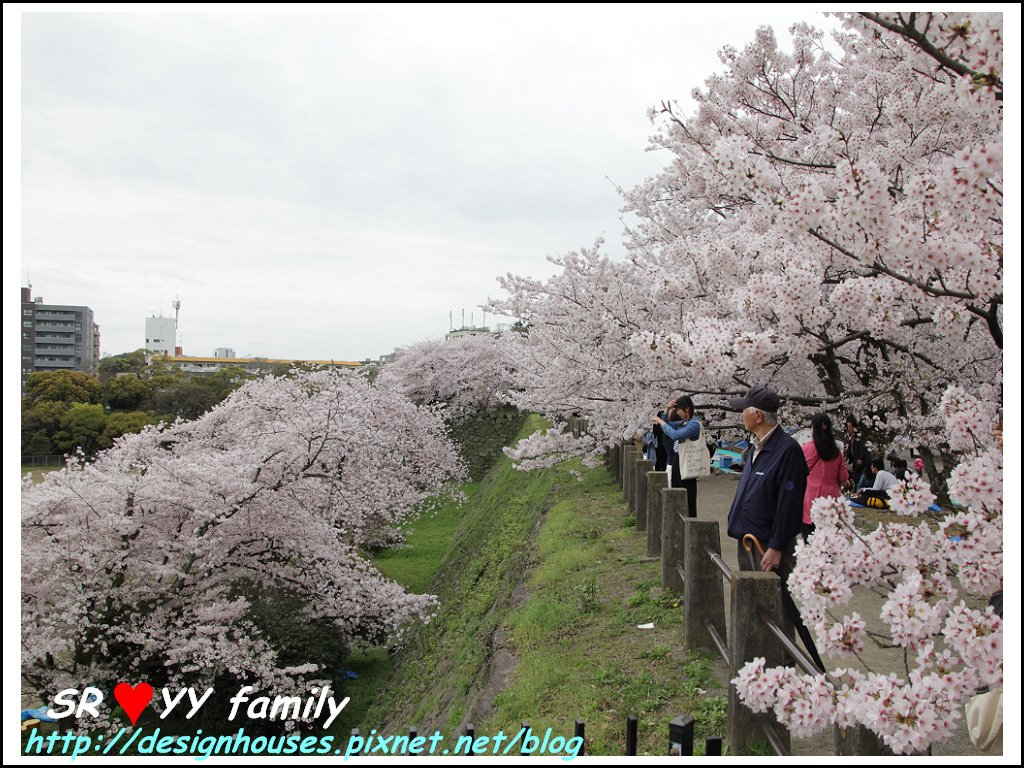 舞鶴花園-賞櫻51.jpg