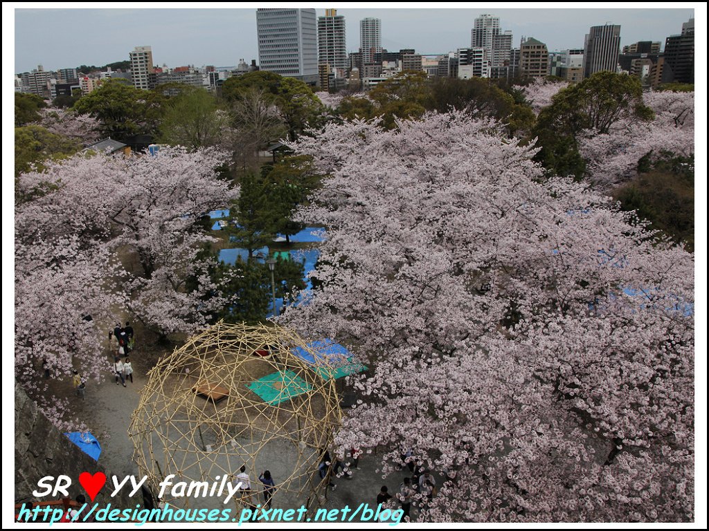 舞鶴花園-賞櫻63.jpg