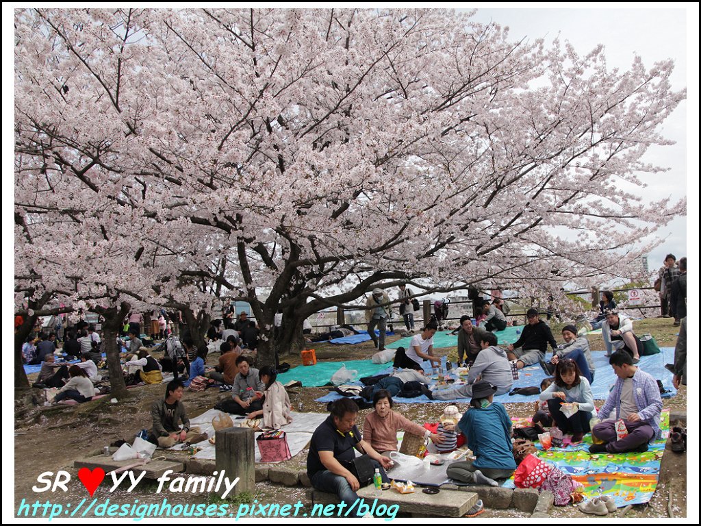 舞鶴花園-賞櫻97.jpg