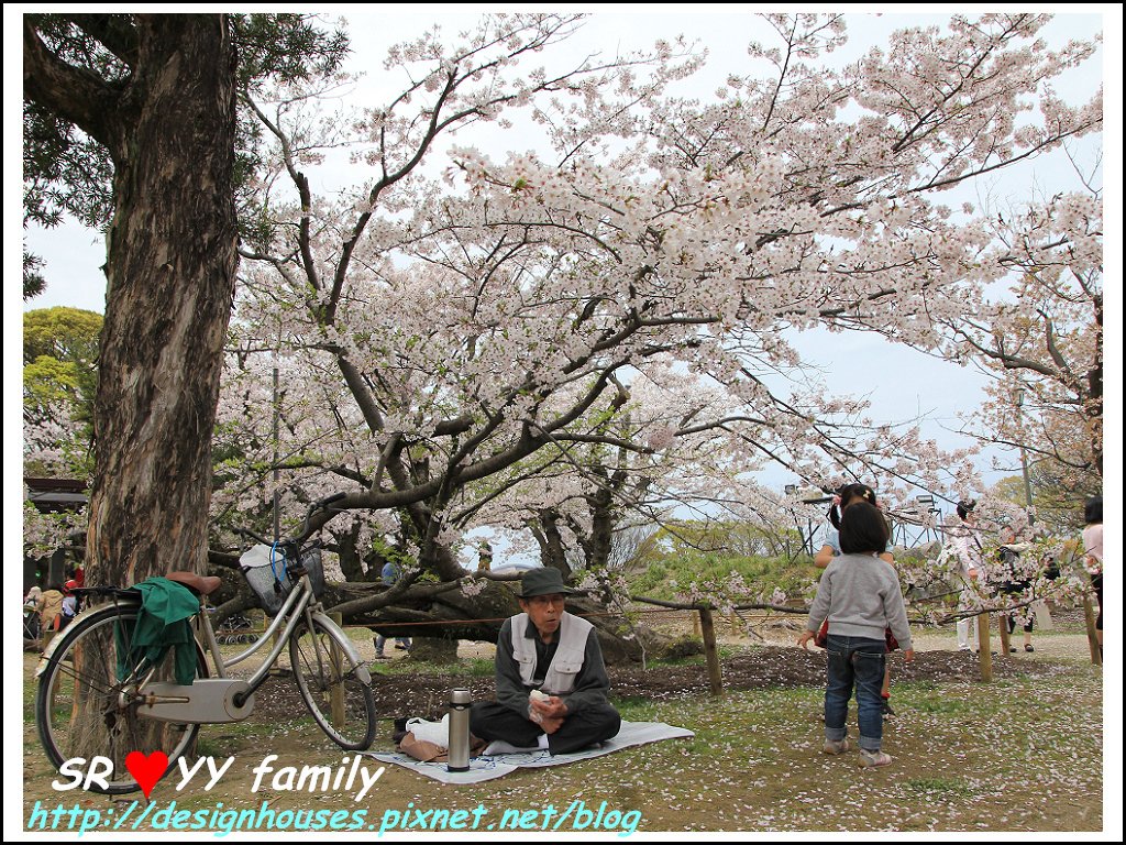 舞鶴花園-賞櫻128.jpg