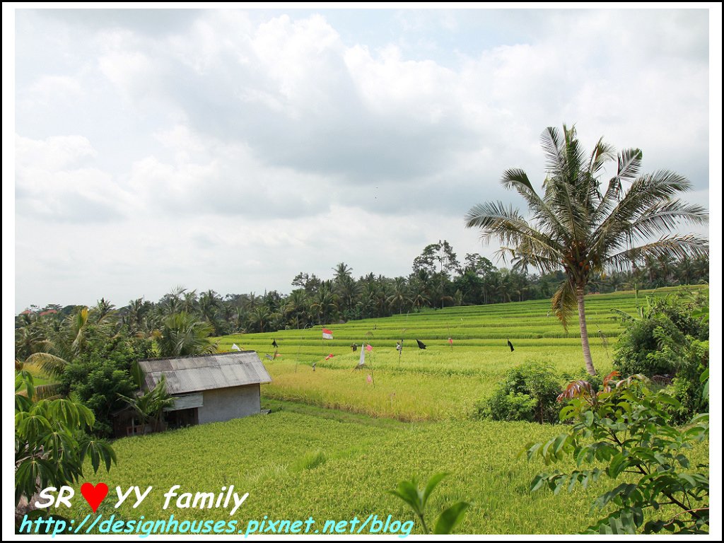  Bali-Ubud_Sari Organik 景觀無敵的稻田有機餐廳23.jpg[峇里島必買必吃][餐廳推薦]必吃必買美食-巴里島烏布區 Bali-Ubud_Sari Organik 景觀無敵的稻田有機餐廳旅行社  [峇里島必買必吃][餐廳推薦]Tripadvisor 名店 Melting wok warung 烏布區自由行旅行社 婚禮 島嶼 旅遊 [峇里島 必買必吃美食] Naughty Nuri&apos;s Warung Ubud-必吃必買美食- 烏布區好吃島嶼 旅遊的烤豬肋排旅行社 婚禮 必去 Bebek bengil 髒鴨餐[峇里島必買必吃]天氣遊記旅行社 美食 SPA ubud[峇里島必買必吃][餐廳推薦]必吃必買美食-巴里島烏布區 Bali-Ubud_Sari Organik 景觀無敵的稻田有機餐廳旅行社  [峇里島必買必吃][餐廳推薦]Tripadvisor 名店 Melting wok warung 烏布區自由行旅行社 婚禮 島嶼 旅遊 [峇里島 必買必吃美食] Naughty Nuri&apos;s Warung Ubud-必吃必買美食- 烏布區好吃島嶼 旅遊的烤豬肋排旅行社 婚禮 必去 Bebek bengil 髒鴨餐[峇里島必買必吃]天氣遊記旅行社 美食 SPA ubud[峇里島必買必吃][餐廳推薦]必吃必買美食-巴里島烏布區 Bali-Ubud_Sari Organik 景觀無敵的稻田有機餐廳旅行社  [峇里島必買必吃][餐廳推薦]Tripadvisor 名店 Melting wok warung 烏布區自由行旅行社 婚禮 島嶼 旅遊 [峇里島 必買必吃美食] Naughty Nuri&apos;s Warung Ubud-必吃必買美食- 烏布區好吃島嶼 旅遊的烤豬肋排旅行社 婚禮 必去 Bebek bengil 髒鴨餐[峇里島必買必吃]天氣遊記旅行社 美食 SPA ubud