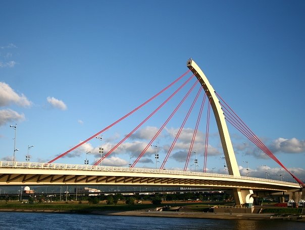 pic2