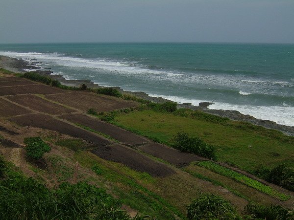 單車環島 (355).jpg