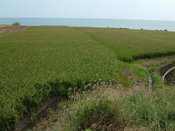 單車環島 (362).jpg