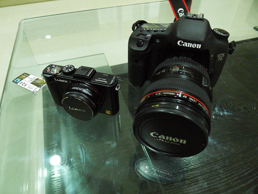P1010015.jpg