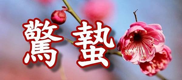 驚蟄圖片_20210218.jpg