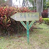 DSC01310
