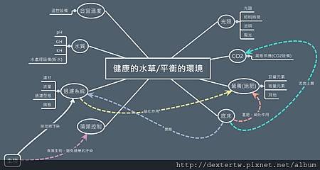 我的水草缸概念圖