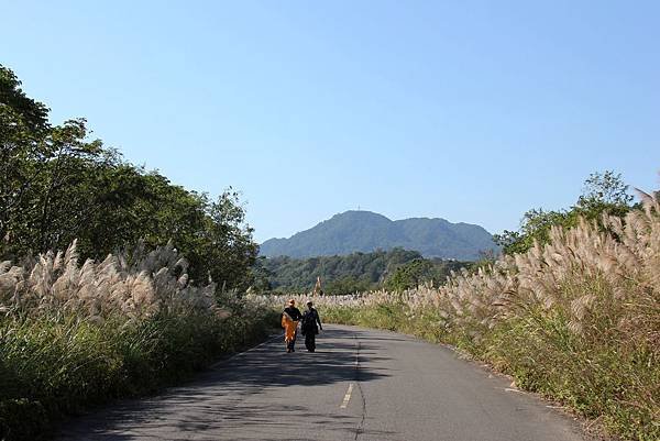 桃園龍潭三坑自然生態公園 001