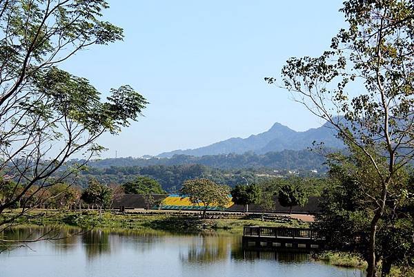 桃園龍潭三坑自然生態公園 009