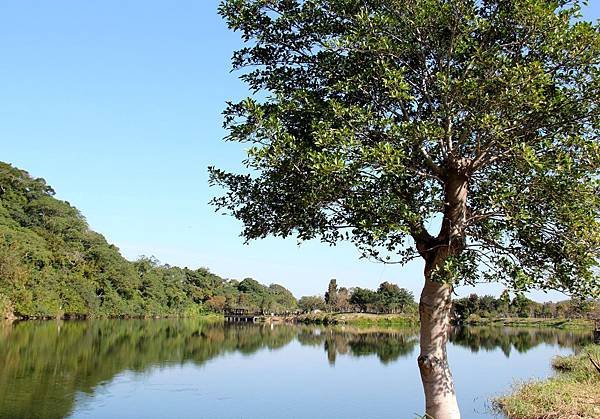 桃園龍潭三坑自然生態公園 012