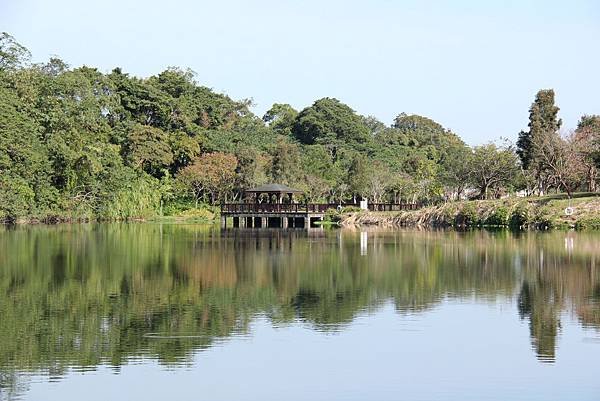 桃園龍潭三坑自然生態公園 024