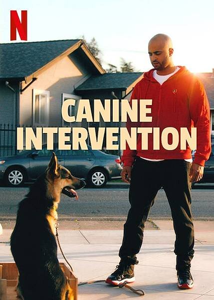 canine-intervention.204152.jpg