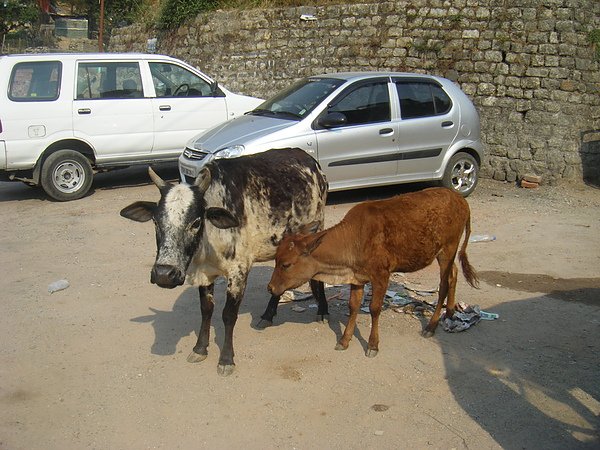 DSCF7840.JPG