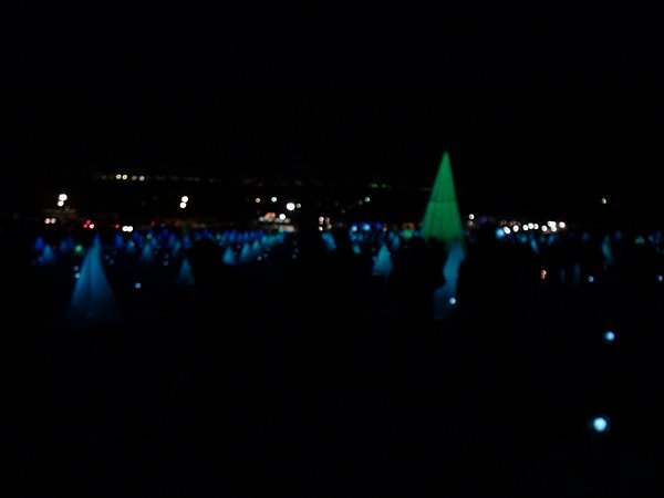 DSC00451.jpg