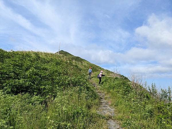 【日本。北海道】國境之北—利尻島禮文島之旅  DAY 1