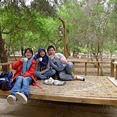 Yazd35-在公園的茶館小憩,喝茶吃點心.JPG