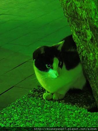 DSCN2193