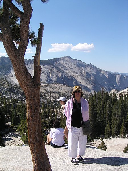 Yosemite Olmsted Point-1.JPG