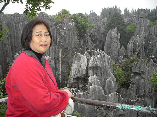 200704110835-大石林.JPG