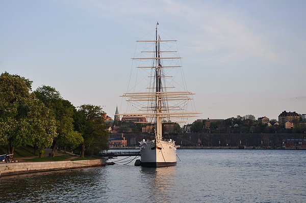 DSC_0226.JPG