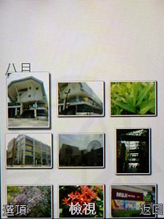 P1020045.jpg