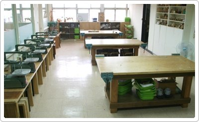 204.jpg