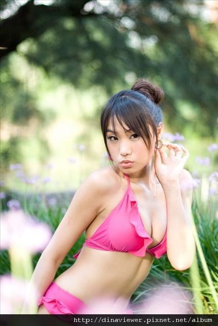 小花叢景深真美.jpg