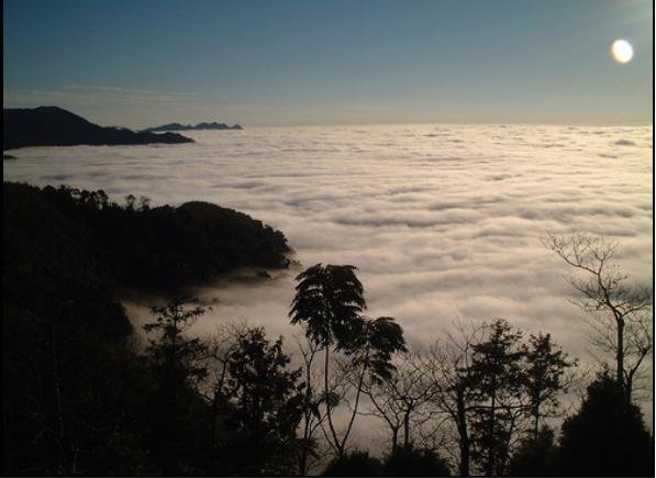 若茵雲海-2