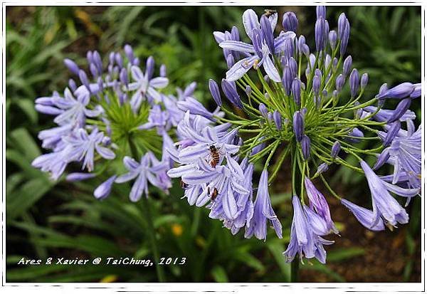 IMG_6163-1