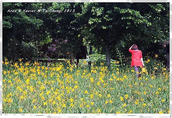 IMG_6230-1