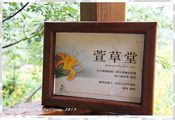 IMG_6232-1