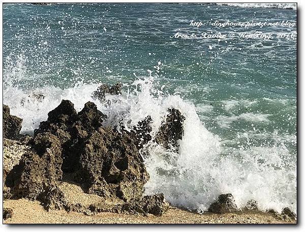 IMG_0957.jpg