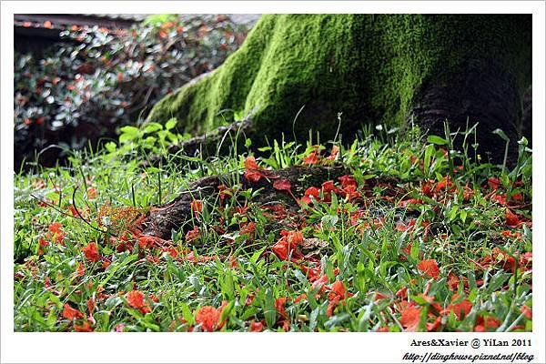 IMG_5178.jpg
