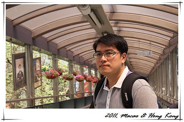 IMG_1767.jpg