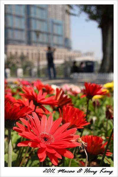 IMG_0916.jpg