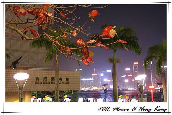 IMG_1546.jpg