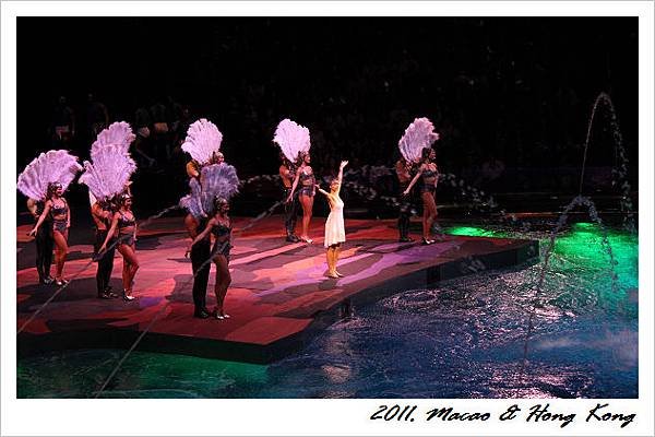 IMG_1186.jpg