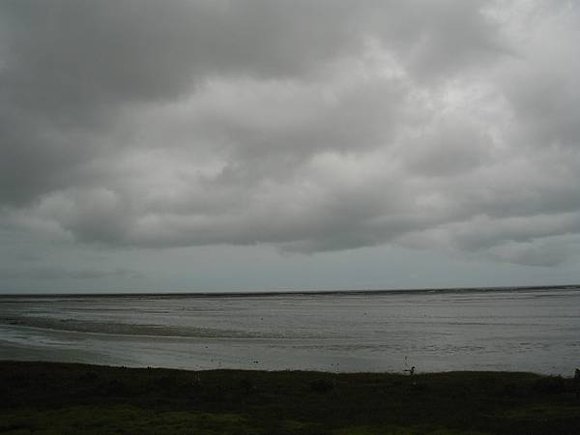 2005年環島, day1, 濱海野生動物保護區