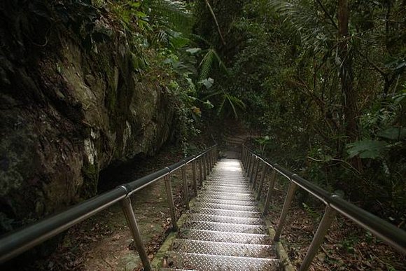 小烏來森林步道, 桃園縣復興鄉