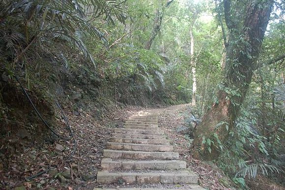 小烏來森林步道, 桃園縣復興鄉