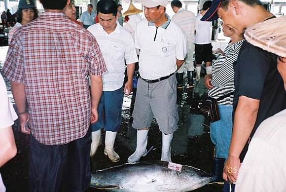 2005年環島, day4,