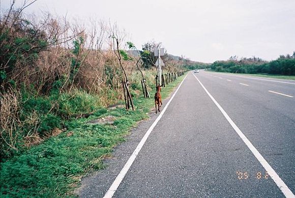 2005年環島, day4,