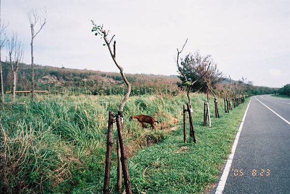 2005年環島, day4,