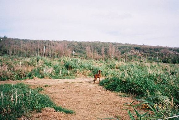 2005年環島, day4,