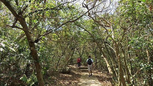 龜山島之旅, 龜山島