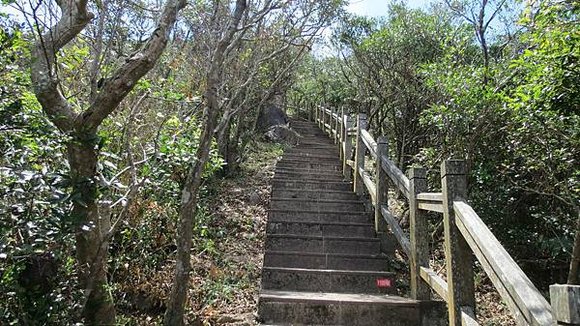 龜山島之旅, 龜山島