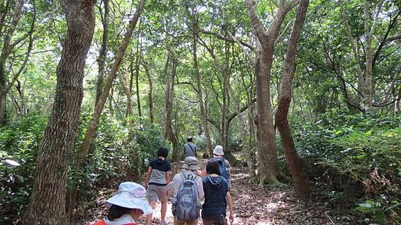 南澳之旅, 朝陽國家步道