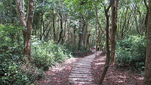 南澳之旅, 朝陽國家步道