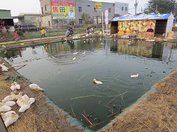 桃園地景廣場藝術節, 小鴨池塘